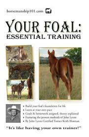 Your Foal Essential Training Horse Training How To By Keith Hosman 11 42 Horse Training Foals Horses
