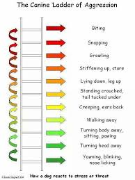 ladder of aggression dog behaviour dog behavior chart