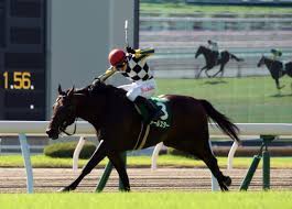 Check spelling or type a new query. å°å€‰è¨˜å¿µ 10ç•ªäººæ°—ã‚¢ãƒ¼ãƒ«ã‚¹ã‚¿ãƒ¼ãŒé‡è³žåˆï½– é•·å²¡ã‚‚é‡è³žåˆåˆ¶è¦‡ ç«¶é¦¬ãƒ‹ãƒ¥ãƒ¼ã‚¹ Netkeiba Com