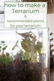 How To Make A Terrarium In 2020 How To Make Terrariums Terrarium Closed Terrarium Plants