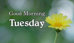 Webmasters, you can add your site in. Good Morning Tuesday Images For Whatsapp Free Download