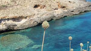 Istruzioni per diventare guida per caso di turisti per caso.it, 1290 risposte Lampedusa Cinque Consigli Su Lampedusa Viaggi Vacanze E Turismo Turisti Per Caso