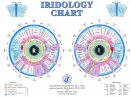 The Eye Is The Window To The Body