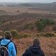 Walking Festival 2025: A Ranger's New Forest - West event image