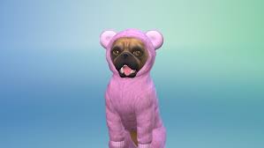 Today it's the largest the sims community in the world. Take On The Create Your Pet Challenge