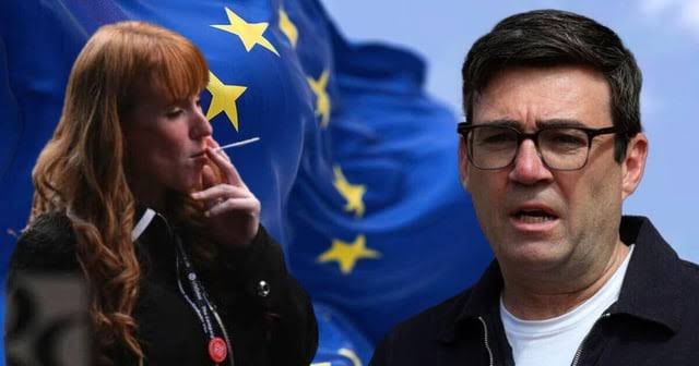 Nigel Farage erupts at Burnham Brexit betrayal as Angela Rayner hints at EU scheme : r/uknews