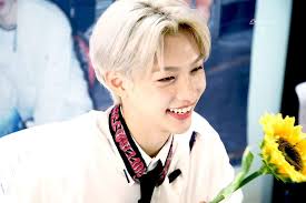 He was born in sydney, australia on september 15th, 2000. Felix Stray Kids Play Jigsaw Puzzle For Free At Puzzle Factory