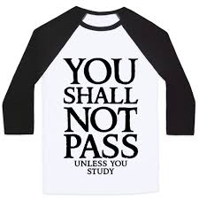 You Shall Not Pass Unless You Study This Nerdy T Shirt Is Great For All Lord Of The Rings Fans Of The One You Shall Not Pass Printed Shirts Teacher Shirts