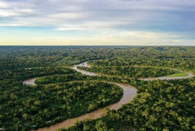 Amaz&ocirc;nia pode perder at&eacute; 38% da floresta at&eacute; o fim do s&eacute;culo, aponta estudo  de pesquisadores da Alemanha | 18 Horas