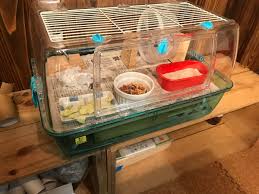 100 均 ハムスター ケージ