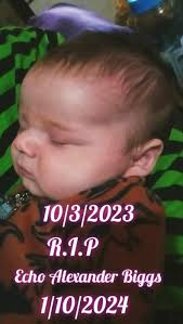 Echo Alexander Biggs