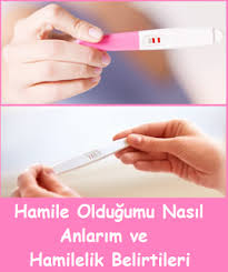 Hamile Oldugumu Nasil Anlarim Ve Hamilelik Belirtileri 2020 Hamilelik Saglikli Yasam Beslenme
