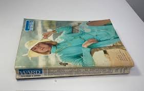 Image result for Turquoise 1972 Montgomery Ward