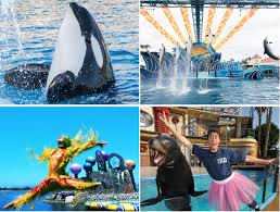 81,671 likes · 5,699 talking about this · 630,231 were here. Seaworld San Diego Weekday Tickets Just 59 99 Reg 94 99 Utah Sweet Savings