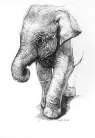 100 Of The Profits From The Sale Of This Artworks Go To Conservation Initiatives Around The World W Elephant Sketch Animal Drawings Realistic Animal Drawings