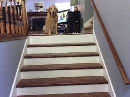 T laminate to cover stairs 1 in. Stair Runner On Prefinished Laminate Stair Treads