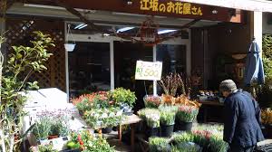 江坂のお花屋さんWeeds（ウィーズ）