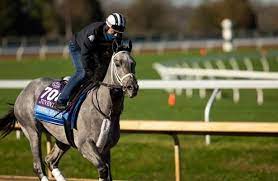 Thoroughbred pedigree for essential quality, progeny, and female family reports from the thoroughbred horse pedigree query. How Do Six Expert Bettors Feel About Essential Quality