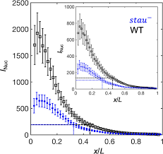 It enables you to find essential tips that may help you in taking the first step to draw 3d images. The Dynamic Transmission Of Positional Information In Stau Mutants During Drosophila Embryogenesis Elife
