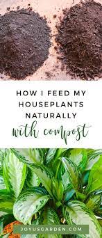 How I Feed My Houseplants Naturally With Worm Compost Compost Plant Care Houseplant Plants Fertilizer For Plants