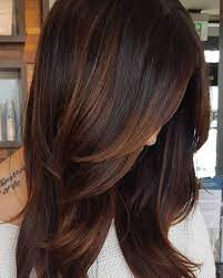 Copper hair color for medium brown skin tone 60 Hairstyles Featuring Dark Brown Hair With Highlights Hair Styles Dark Hair With Highlights Hair Highlights