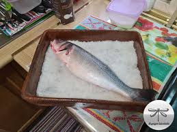 Lubina A La Sal Gastronomia De Galicia