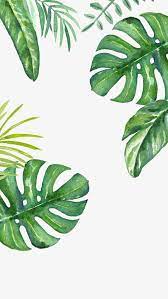 Fondo Verde Hoja Verdor Fondo Decorativo Png Y Psd Para Descargar Gratis Pngtree Plant Wallpaper Plant Drawing Watercolor Plants