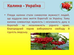 2,384 likes · 2 talking about this. Prezentaciya Do Uroku Kalina Simvol Ukrayinskogo Narodu