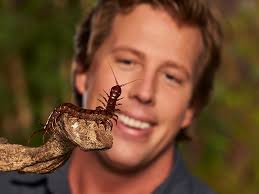 Wat kunnen sommige dieren toch geniaal zijn! Nieuws Agenda Bekijk Het Nieuws Over Freek Vonk