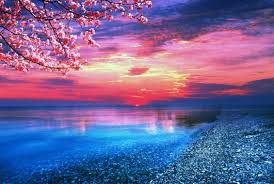 Find the best ocean wallpapers on getwallpapers. Cool Ocean Wallpaper For Retina Src Cool Ocean Wallpaper Ocean Wallpaper Beautiful Sunset 1920x1290 Download Hd Wallpaper Wallpapertip