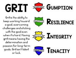 House System Grit Acronym Gumption Resilience Integrity Tenacity In 2020 House System Resilience Words Of Wisdom Quotes