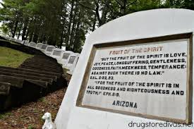 Check spelling or type a new query. Fields Of The Wood Murphy Nc S Bible Park Drugstore Divas