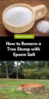 🧂can i kill a tree stump with epsom salt? How To Remove A Tree Stump With Epsom Salt Trees Com Tree Stump Kill Tree Stump Tree Stumps Diy