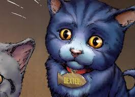 Meet Dc S Goodest Kitty Dex Starr The Red Lantern Cat