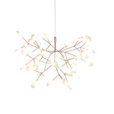 Image result for Heracleum