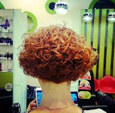 Bob From The Back