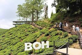 Terletak strategis di taitung, hoya hot springs resort & spa adalah tempat yang luar biasa untuk menelusuri kota yang aktif ini. One Day Private Tour Cameron Highland Hulu Tamu Hot Spring Lunch Included Marriott