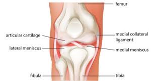 Fear of the unknown, of falling, of not being in control. Yoga Injuries