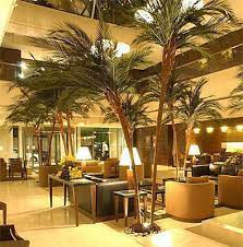Indoor palm trees (with pictures and names) many types of ornamental palm trees look beautiful indoors and can provide attractive greenery. Custom Made Palm Trees Preserved Interior Palms
