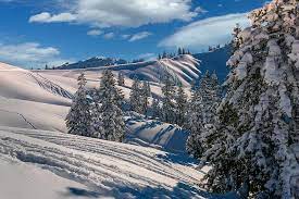 Hieronder vindt u alle sneeuwinformatie over skiën in leysin. Winter Bergen Sneeuw Landschap Natuur Alpine Hochybrig Zwitserland Himmelolkentannen Sporen Poeder Sneeuw Pikist