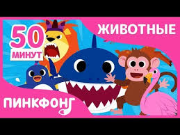 колыбельные песни для детей слушать бесплатно онлайн без перерыва Akulyonok I Drugie Pesni Pesni Pro Zhivotnyh Sbornik Pinkfong Pesni Dlya Detej Youtube