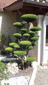 33 Superb Topiary Trees Gardens Plants And Other Shapes Gardens Plants Shapes Superb To Japanese Garden Design Garden Design Backyard Landscaping Designs