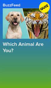 Which Animal Are You Dog Breed Quiz Animals Labrador Retriever