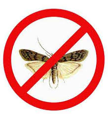 Wird ein teppich regelmäßig begangen, dann wird er in der regel nicht von motten befahlen. Mottenspray Fur Wollteppiche