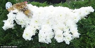 I offer a free home consultation to discuss the funeral tribute in the comfort and privacy of your own home. Man Is Stunned With His Jack Russell Floral Tribute For Widow S Funeral Daily Mail Online