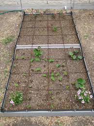 One of the best ways to combat the deer, the dirt, and freezing temperatures, while optimizing your available garden space, is with the use of raised garden beds. Use Raised Garden Beds To Battle Deer And Dirt The How Do Gardener