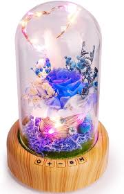 We did not find results for: Amazon Com Blue Rose Lamp Sweetime Real Preserved Rose In Glass Dome Forever Flower Night Light With Bluetooth Speaker Eternal Flowers Rose Gift For Her On Mother S Day Birthday Valentine Day