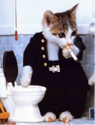 نتيجة بحث الصور عن قطط جميلة