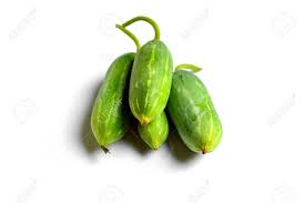 Image result for Coccinia