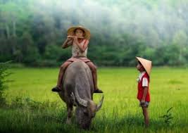 Image result for quÃª hÆ°Æ¡ng tÃ´i